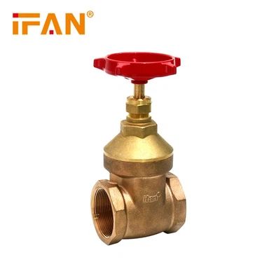 Katup Gerbang Kuningan 2 Inch