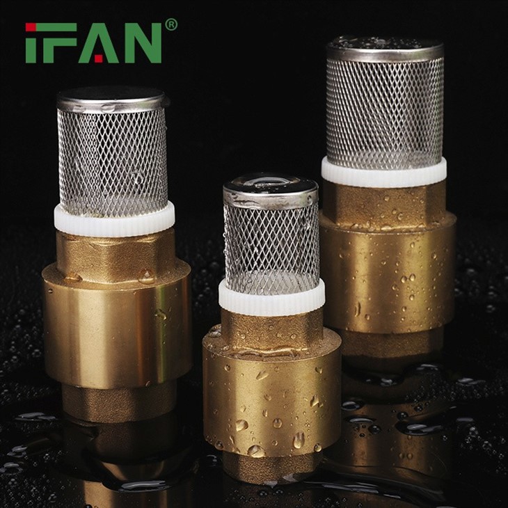 IFAN Brass Filter Valve